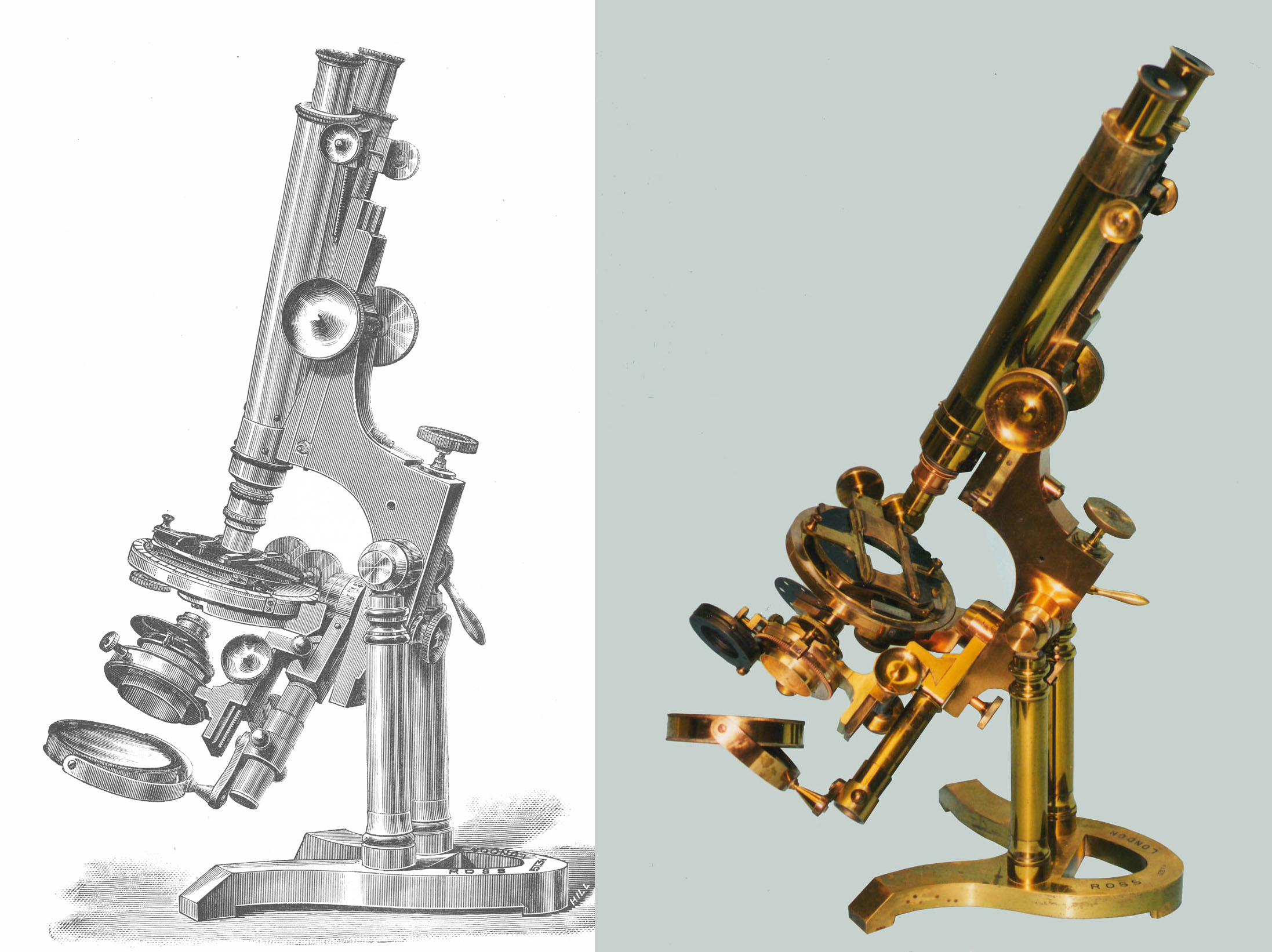 Ross Zentmayer Microscope