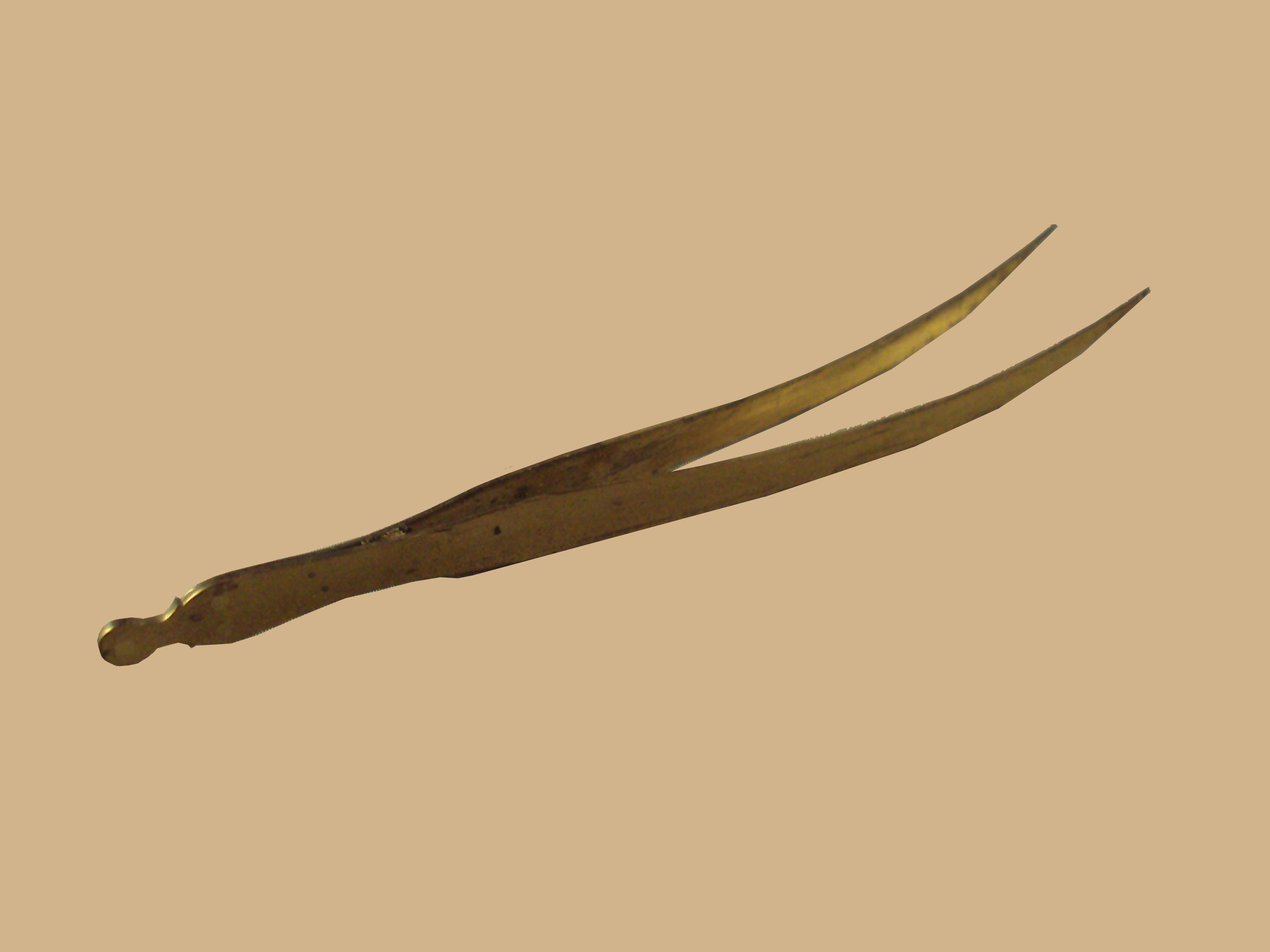 large brass forceps