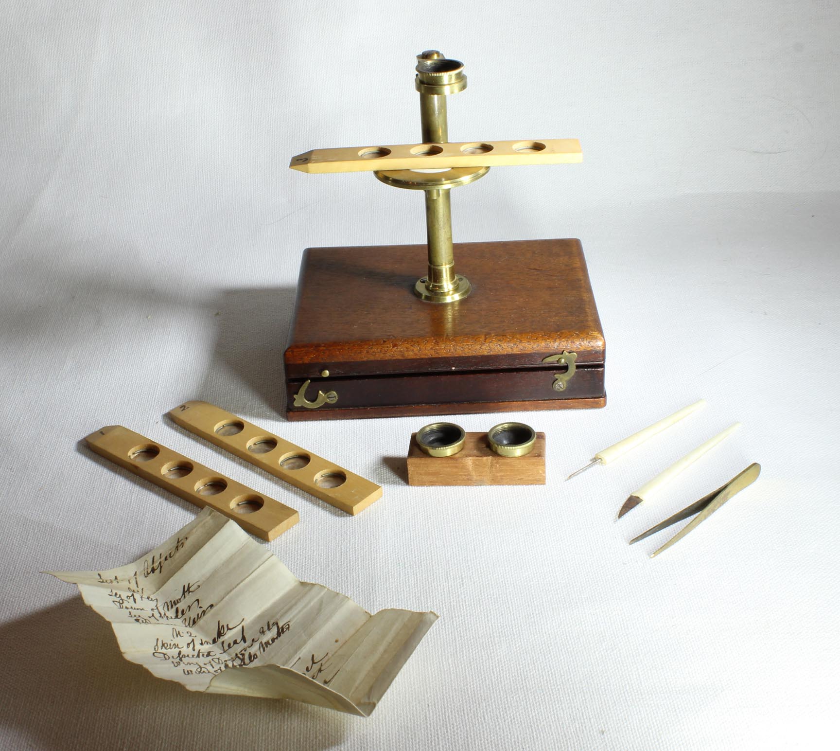 simple dissecting microscope