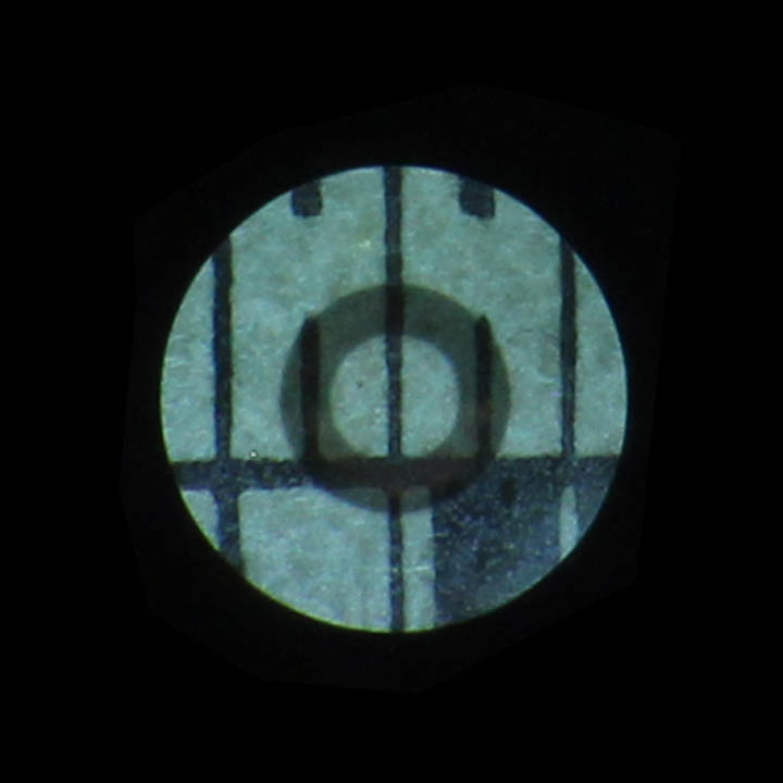 magnified back focal plane 25X