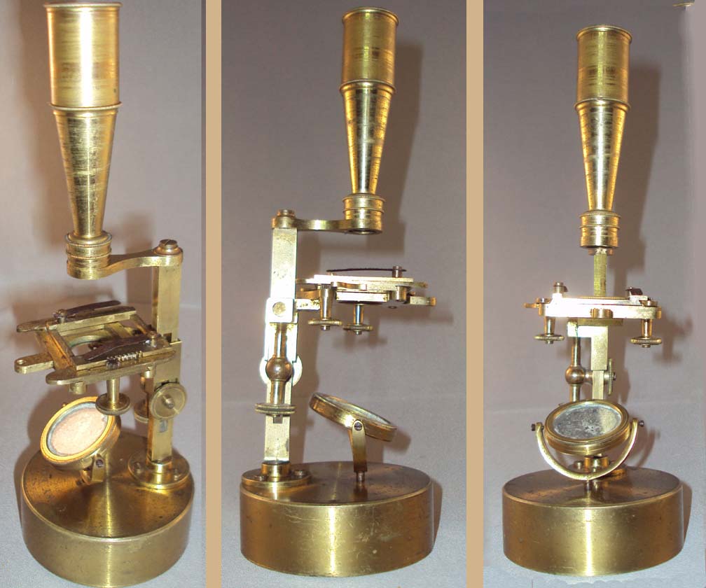 Cary-Gould Microscope