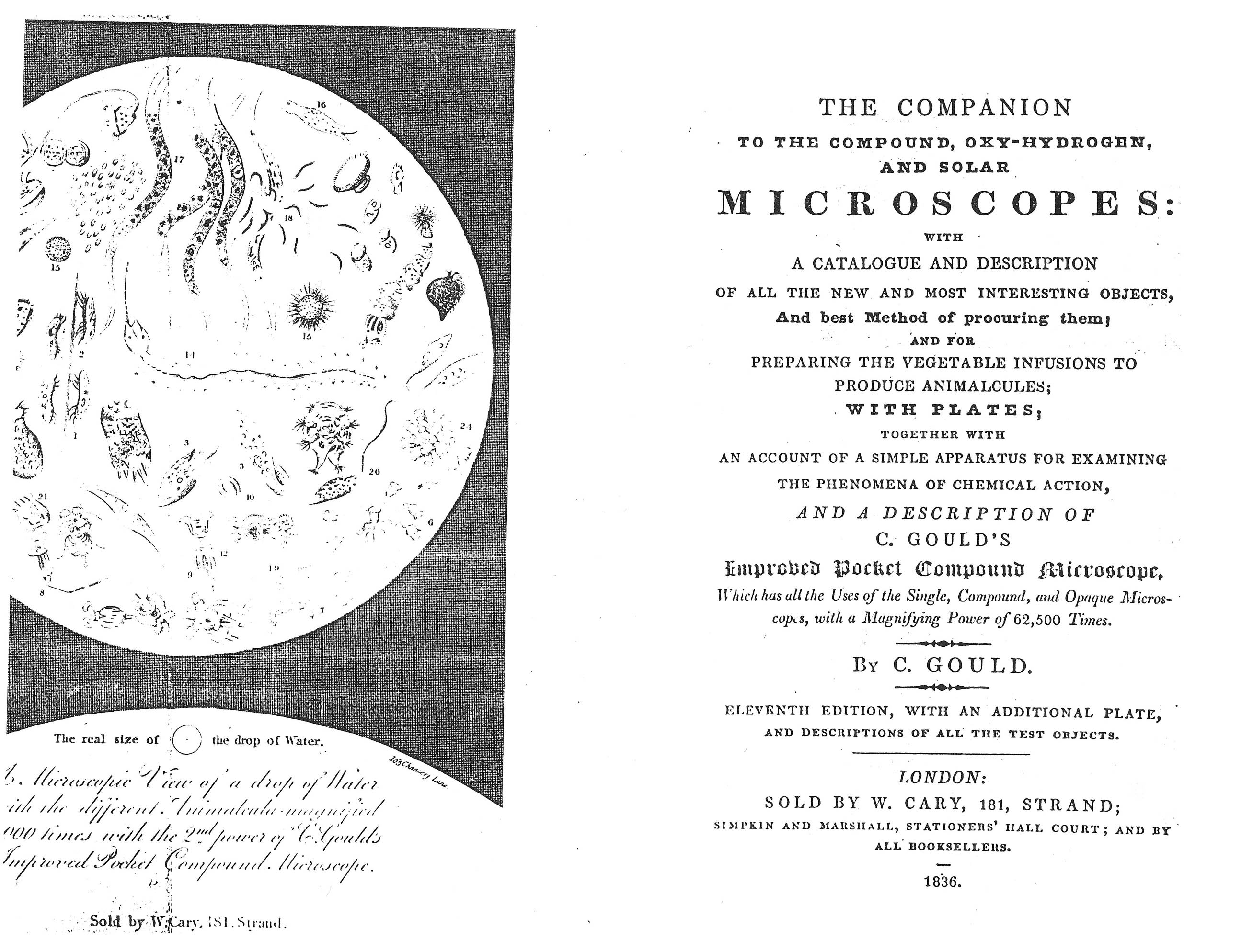 Gould Title Page from 1836