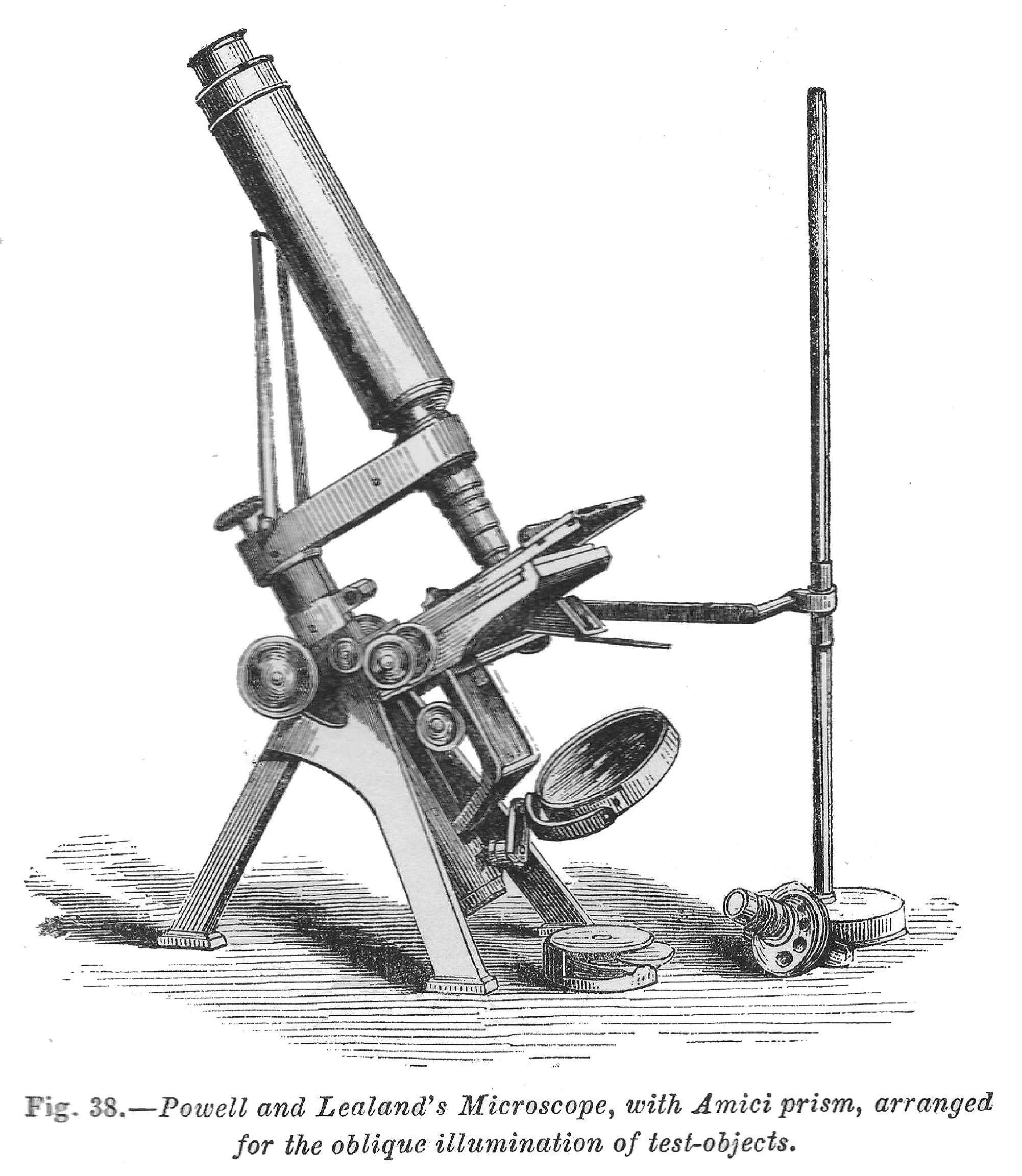 Powell and Lealand engraving from Hogg