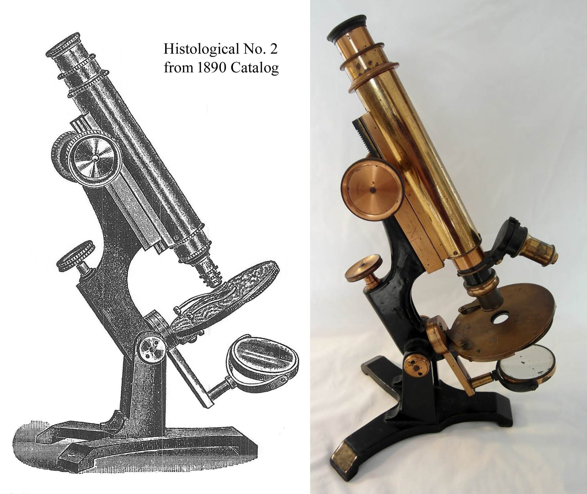 Bulloch Histological No 2 Microscope