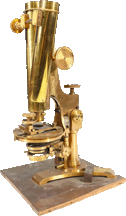 Bulloch Professional #2