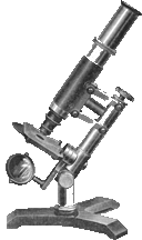 Bastin-Bulloch Microscope