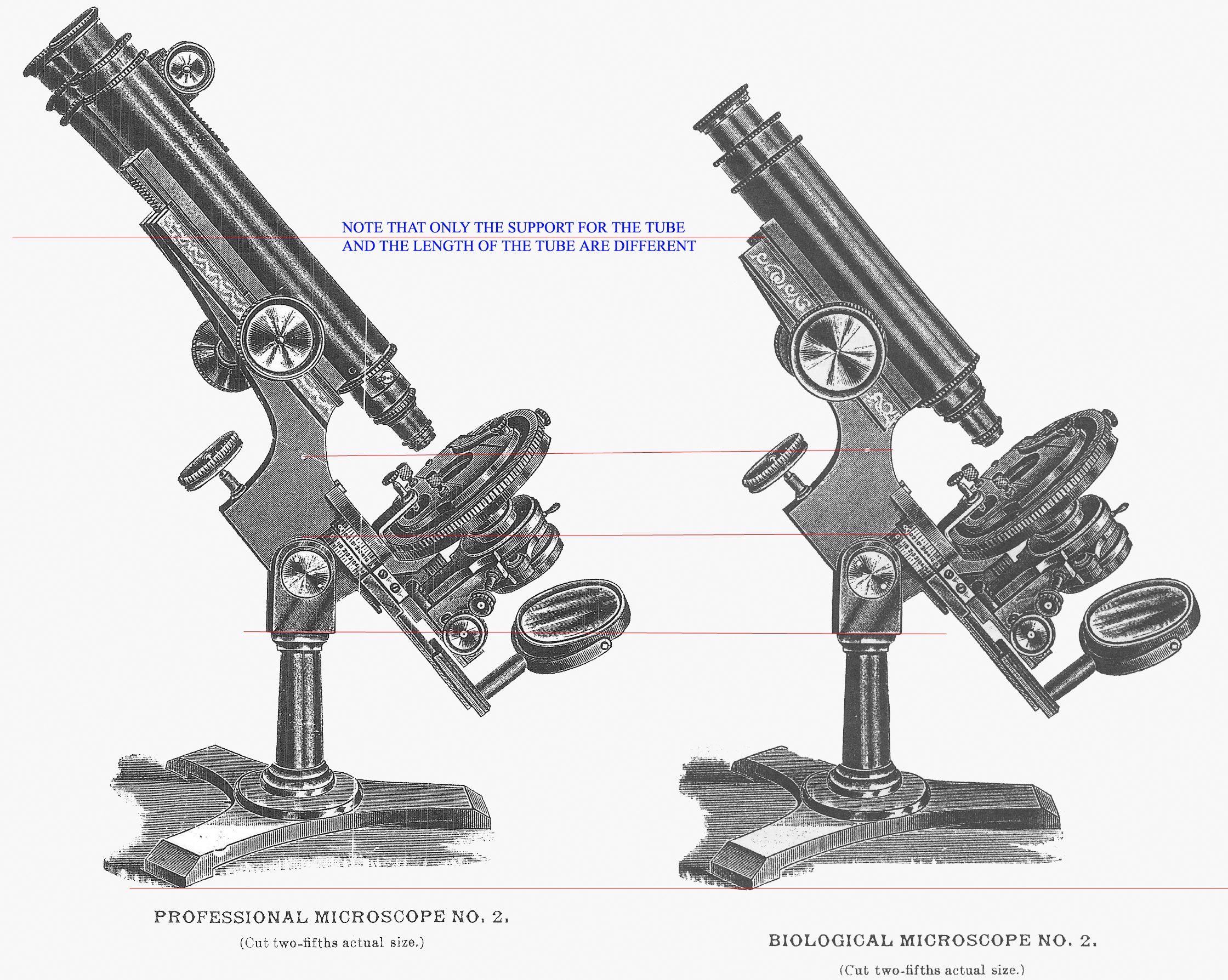 Bulloch Prof 2 and Bio 2 Engravings