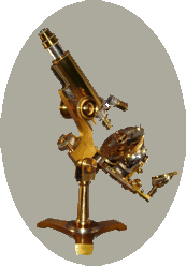 microscope icon