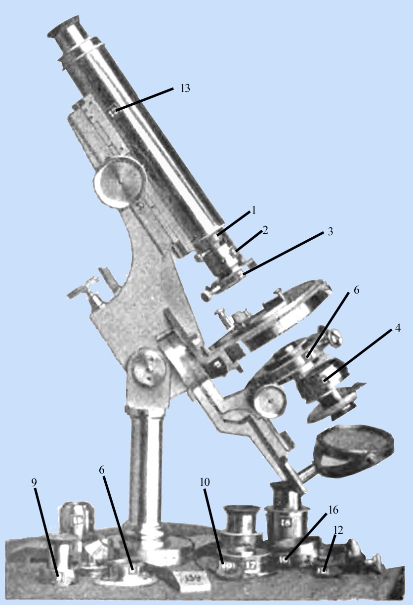 bulloch lithological