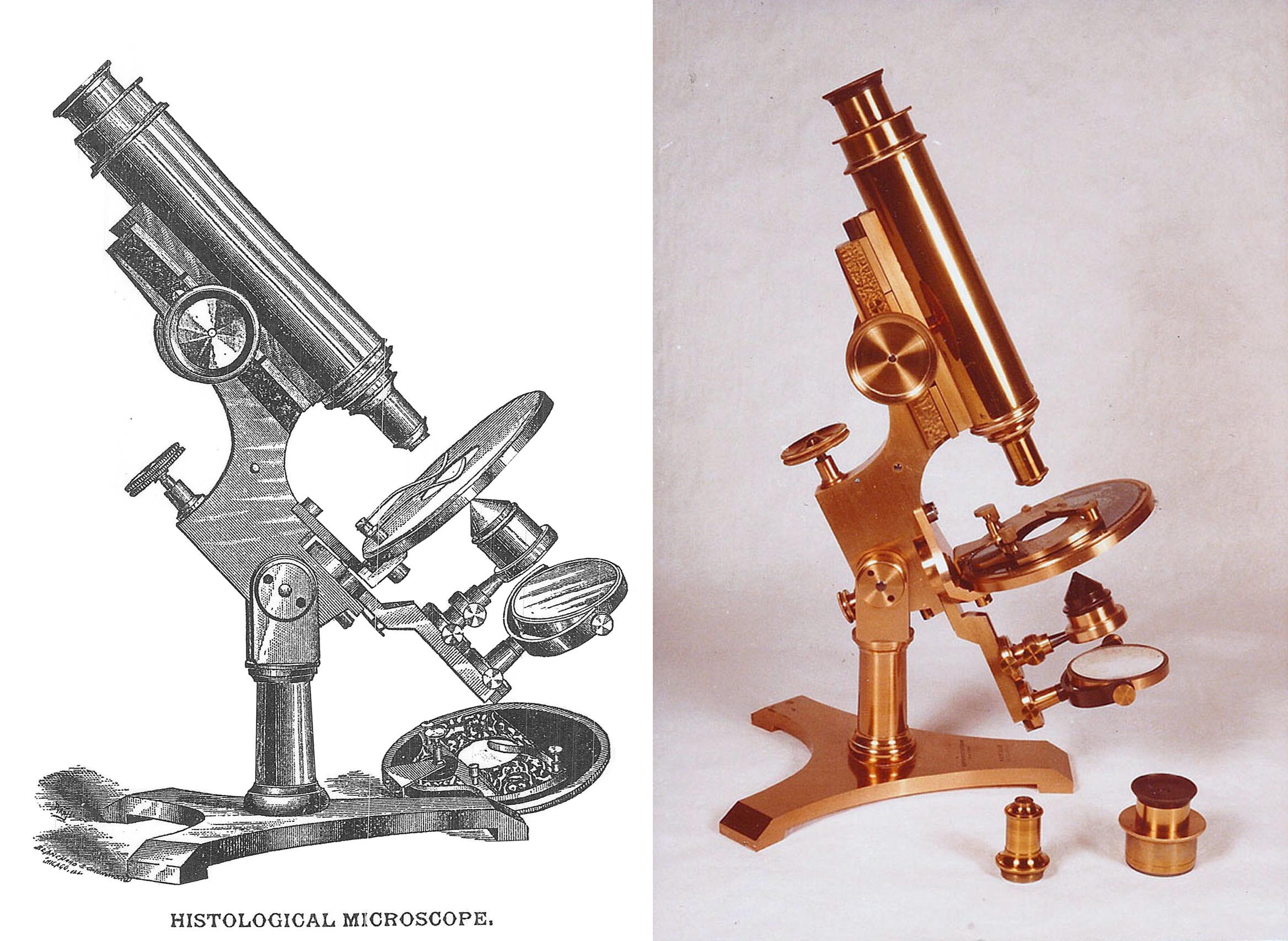 Bulloch Histological Microscope