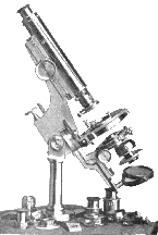 Bulloch First Lithological stand