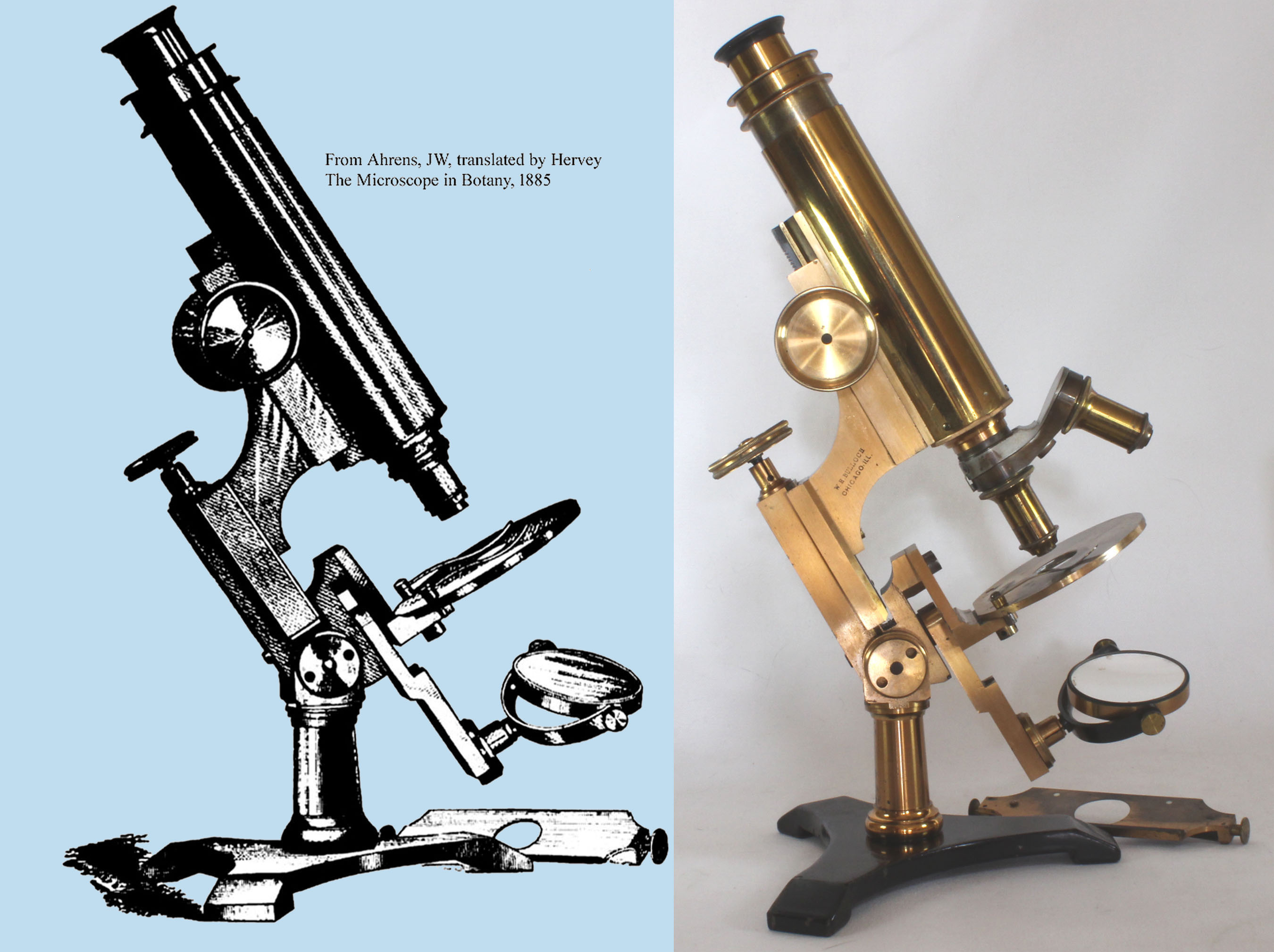 new student microscope