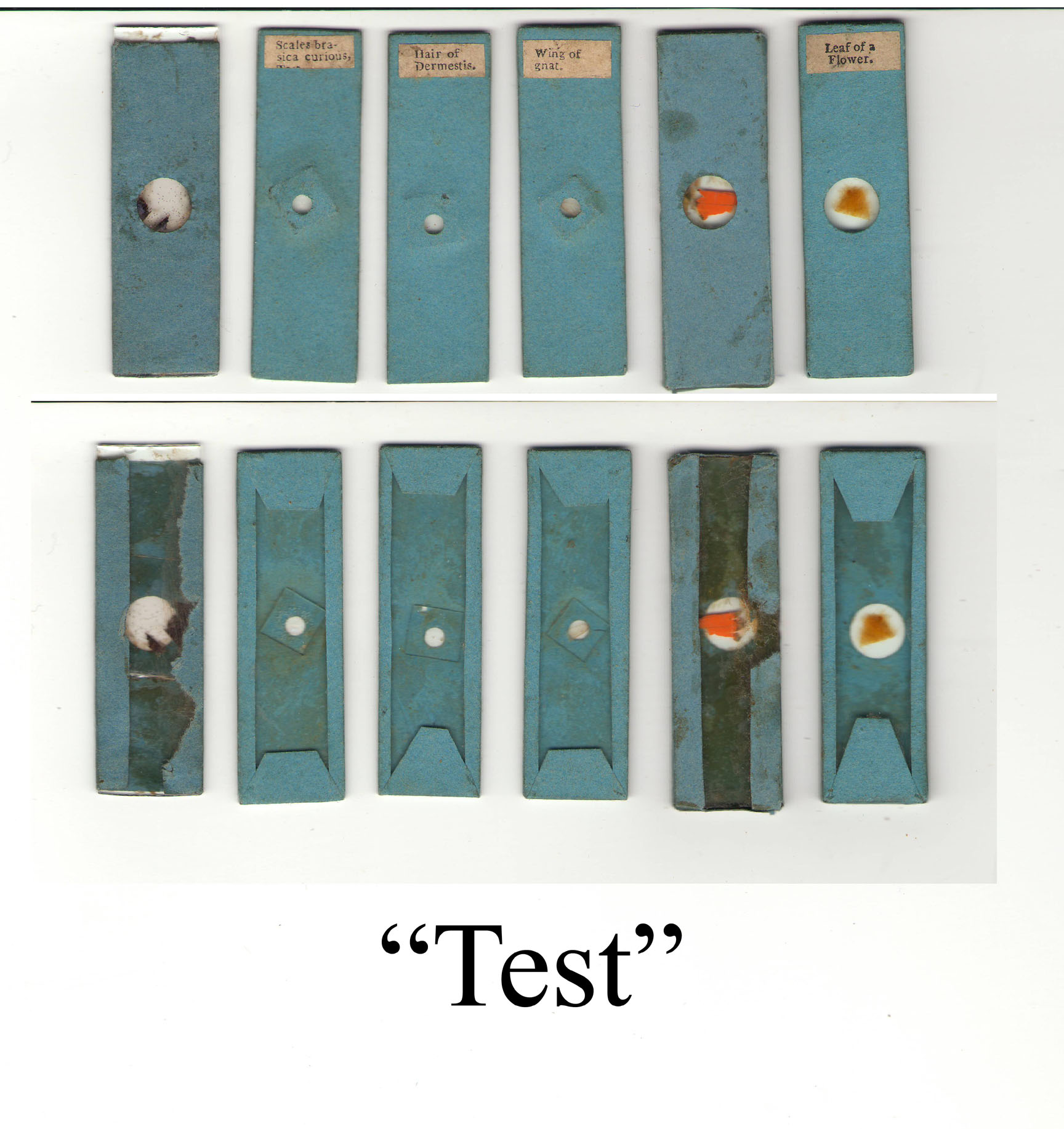 Cary Test slides