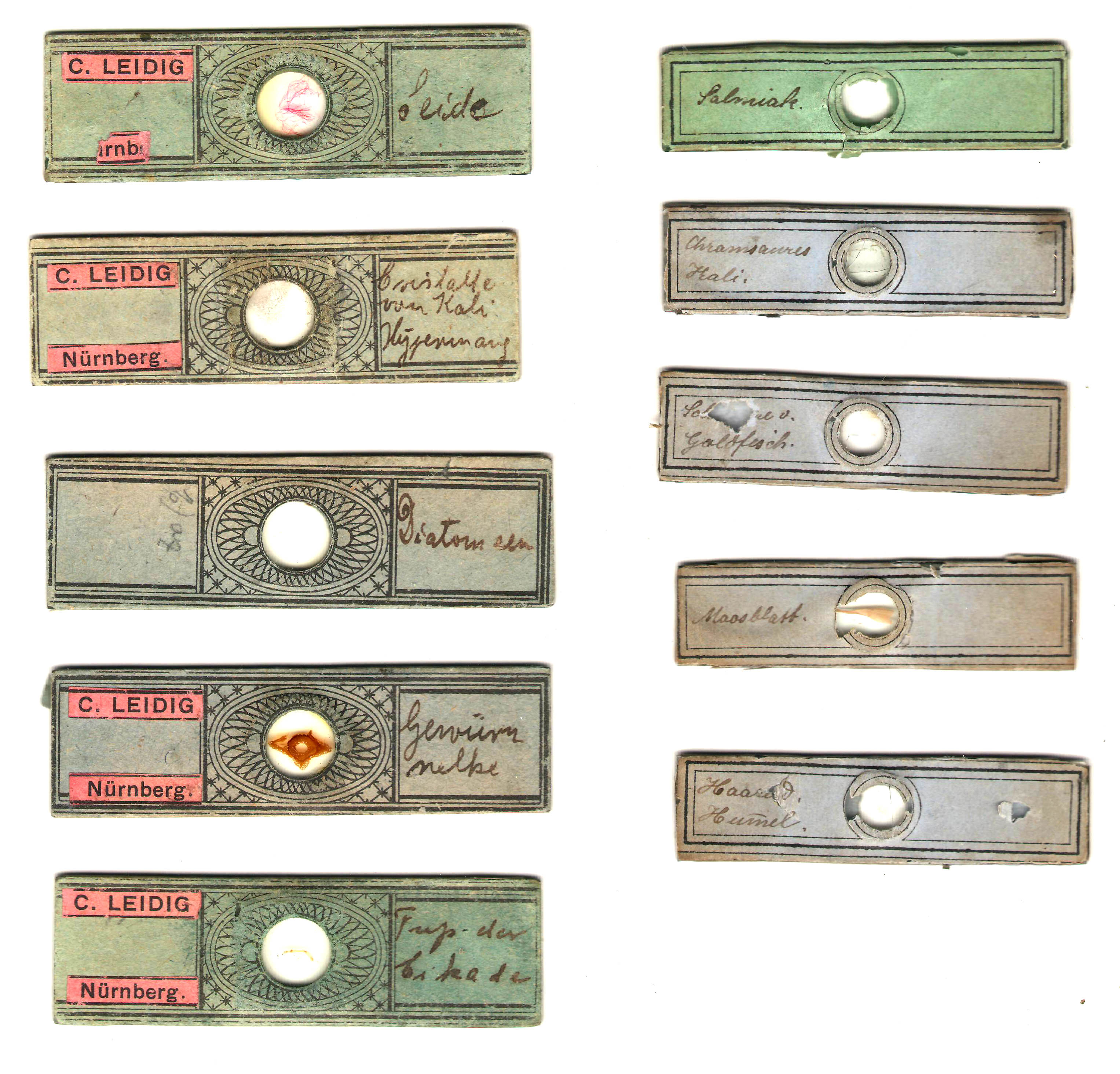 Leidig Microscope Slides