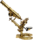 compound microscope