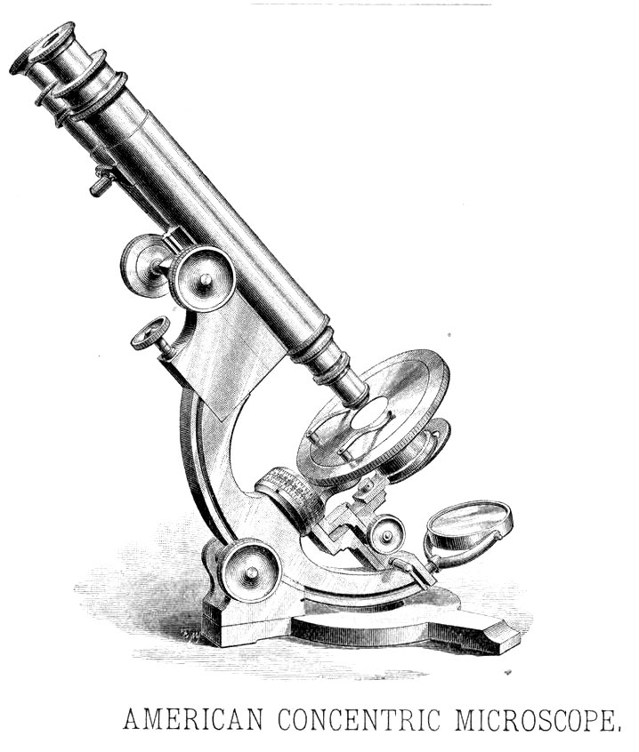 Bausch & Lomb Concentric