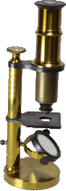 Deyrolle MICROSCOPE