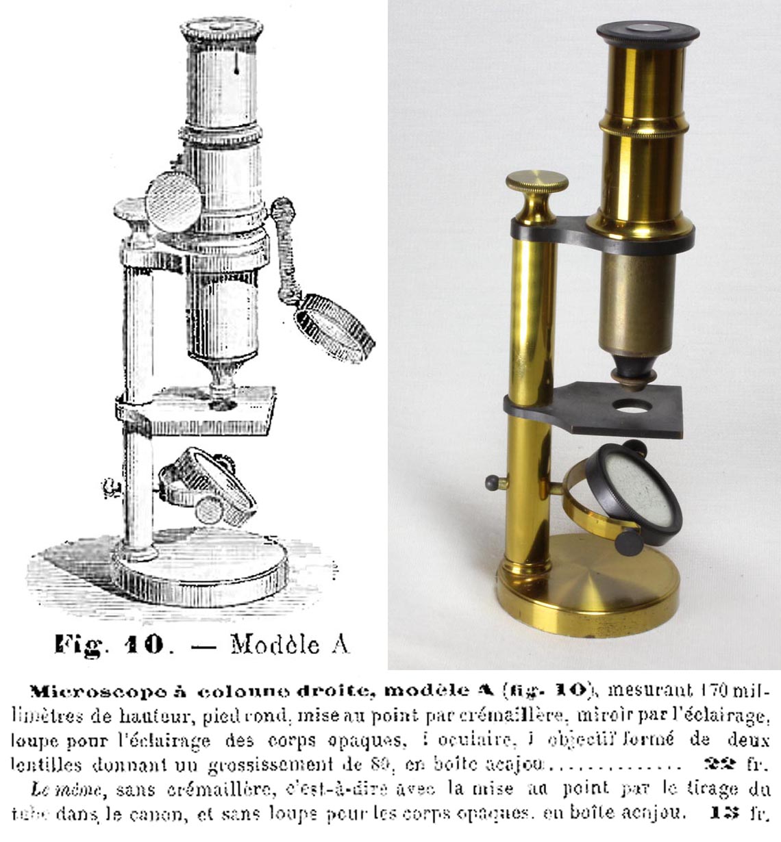 Deyrolle A microscope
