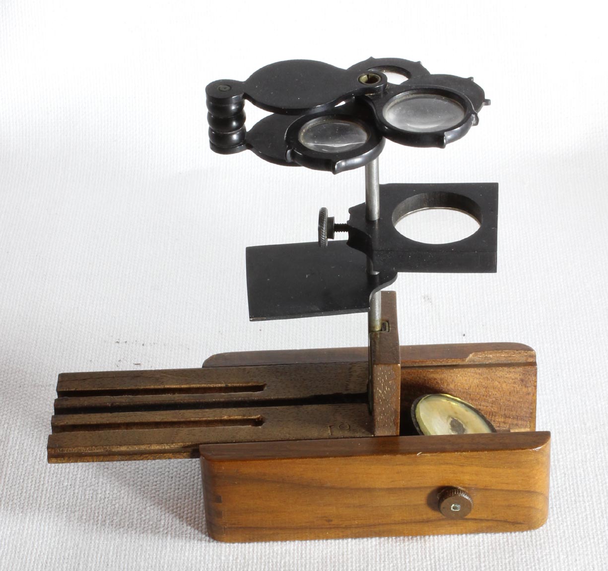 Excelsior microscope