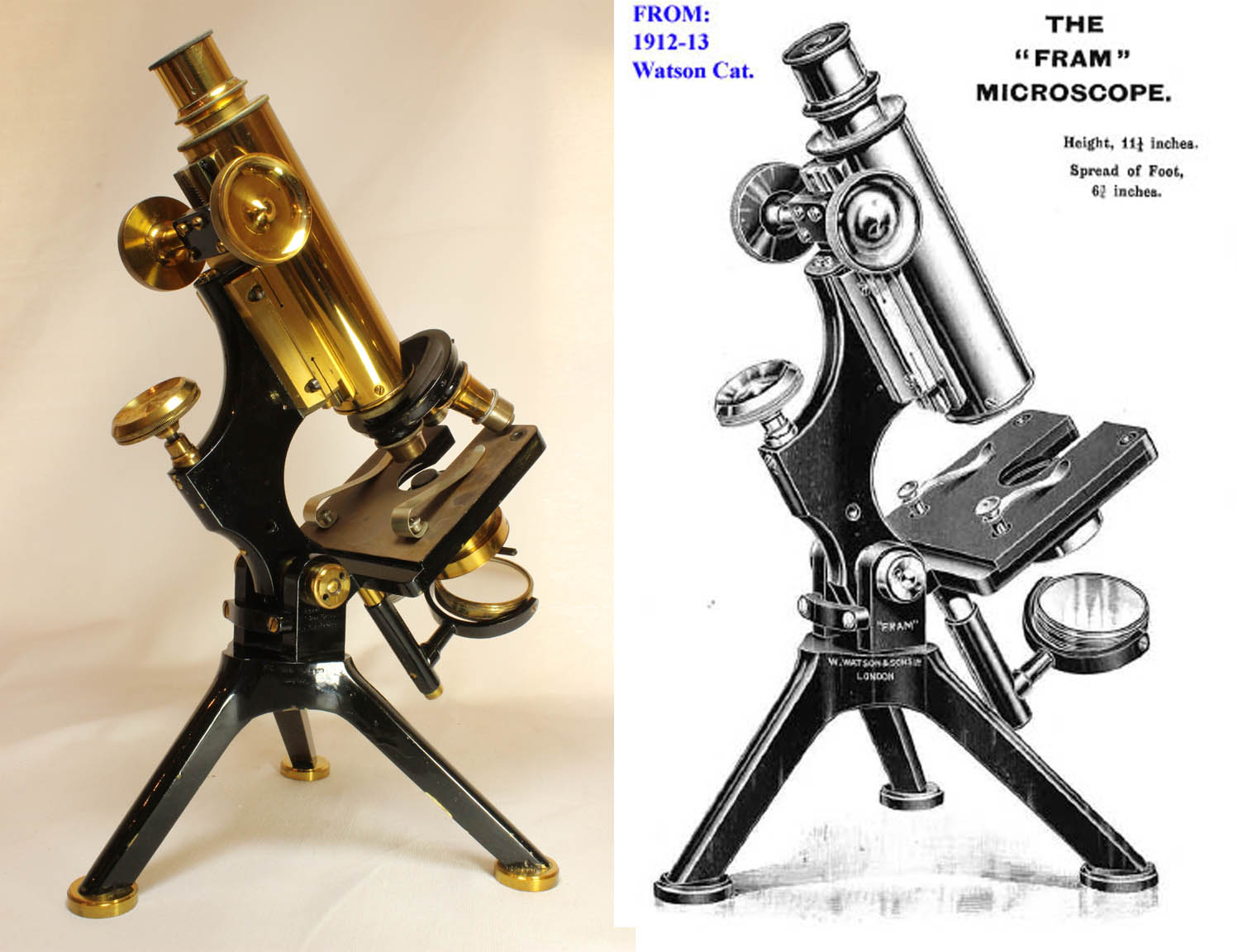 Fram Microscope