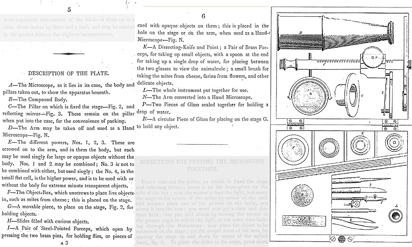 Gould description 1835