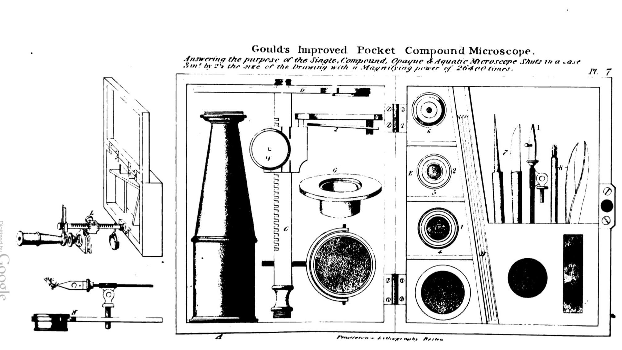 Gould 1832 from the Naturalist