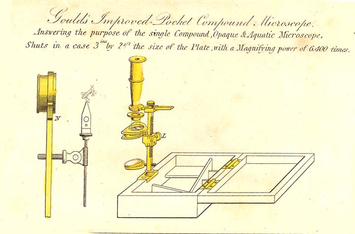 Cary-Gould Microscope