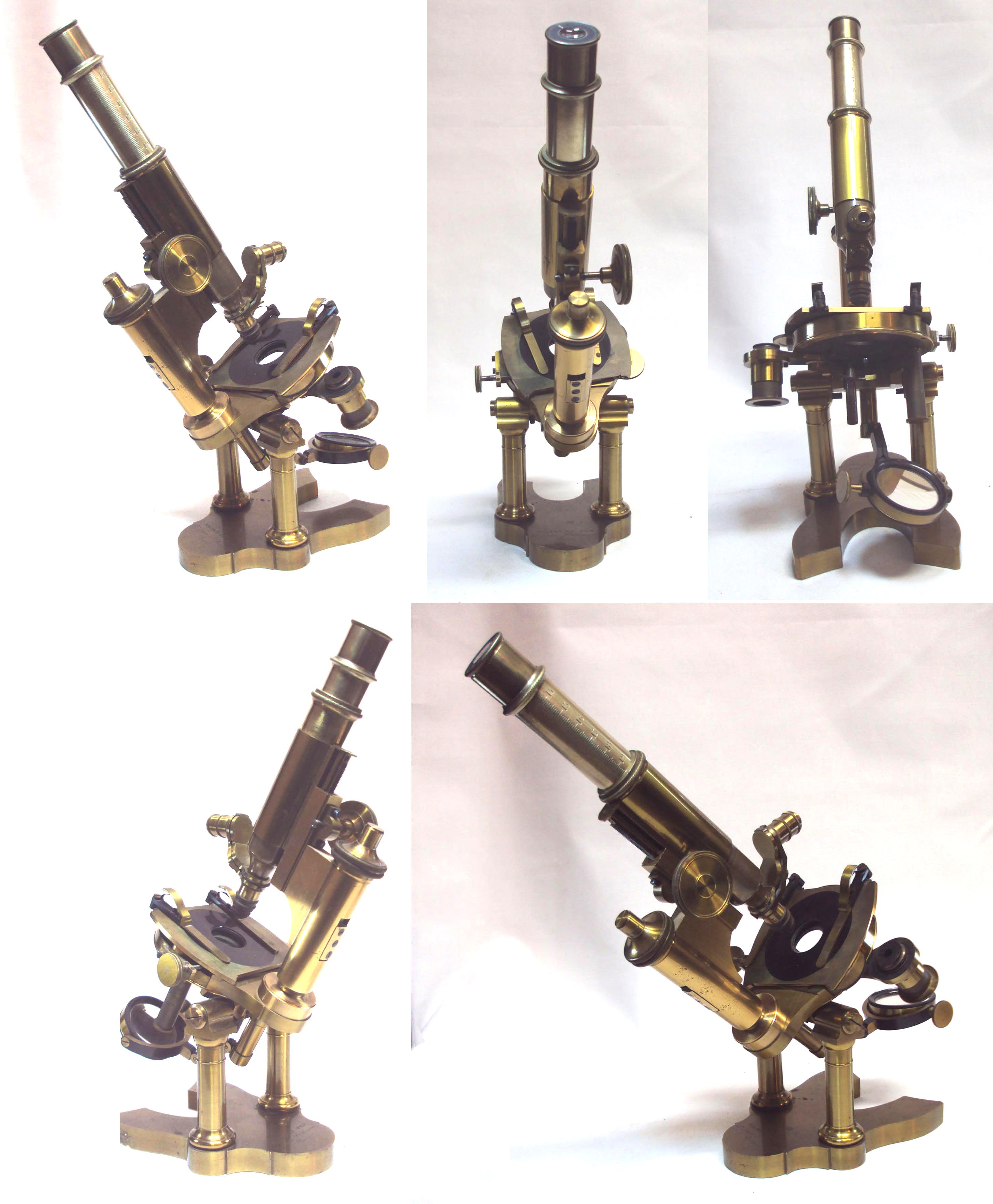 Grand Microscope 2