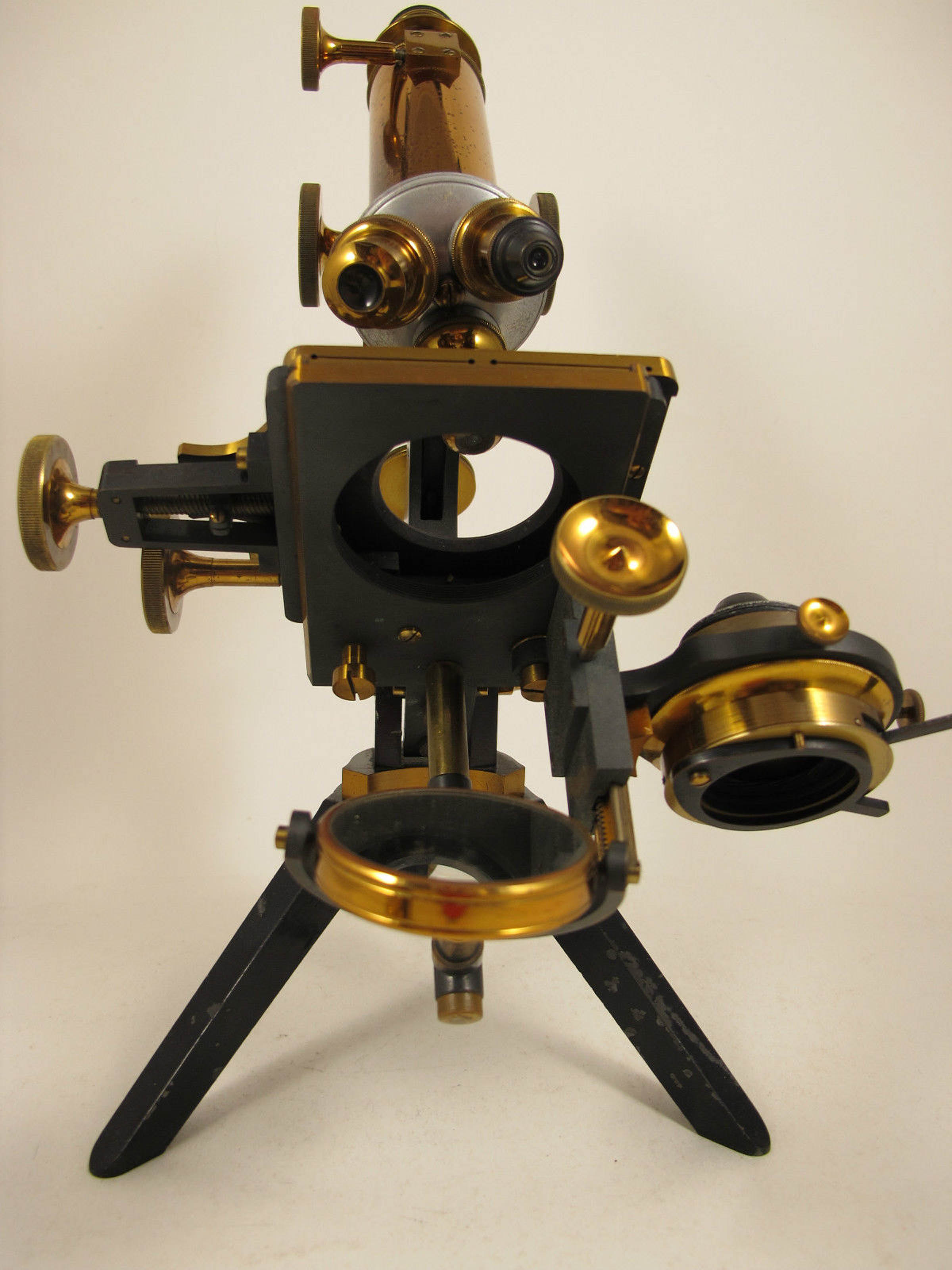 holos fram Microscope