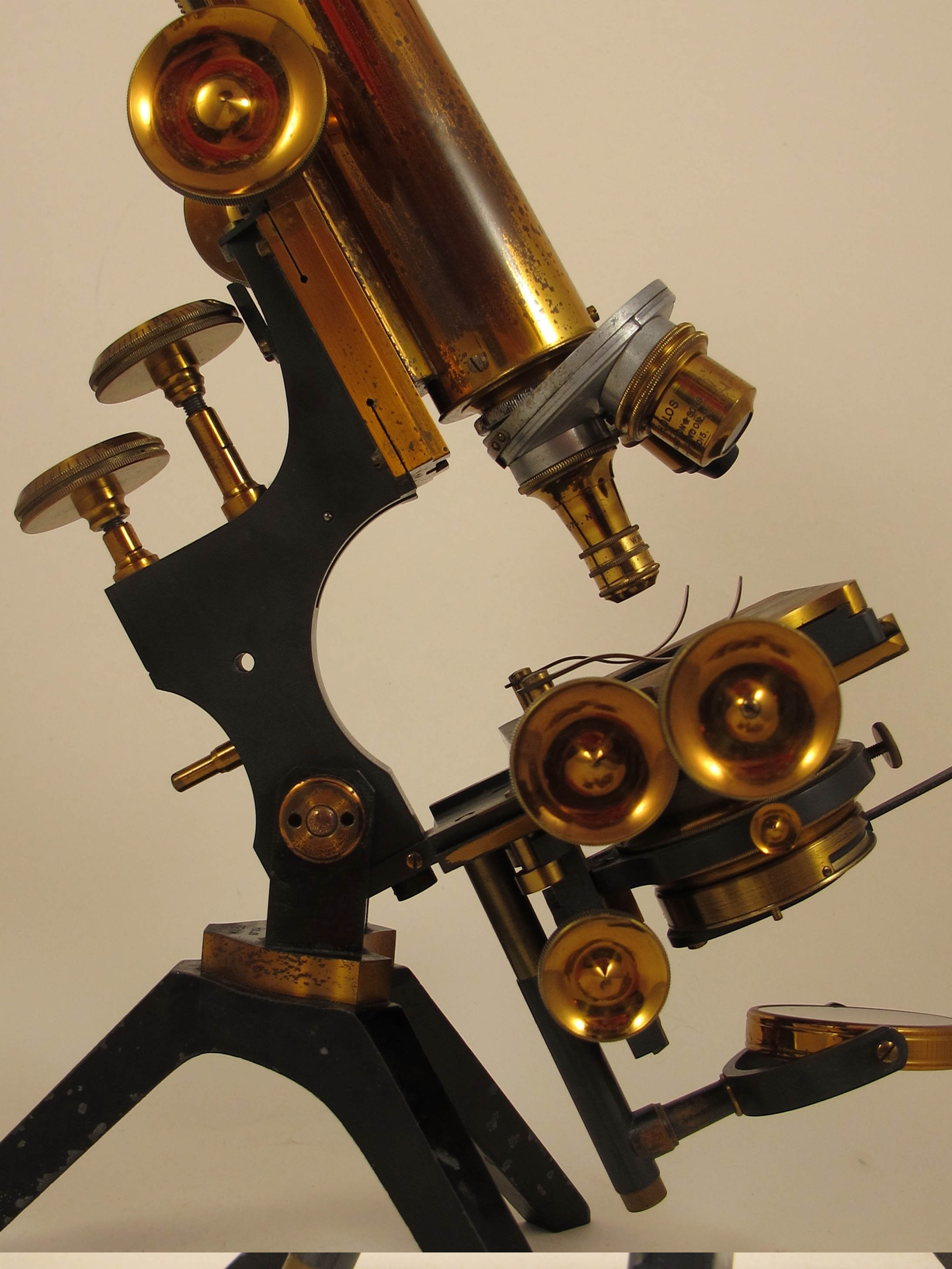 holos fram Microscope