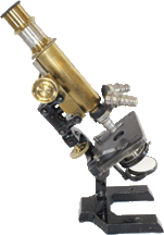 Krugelstein MICROSCOPE