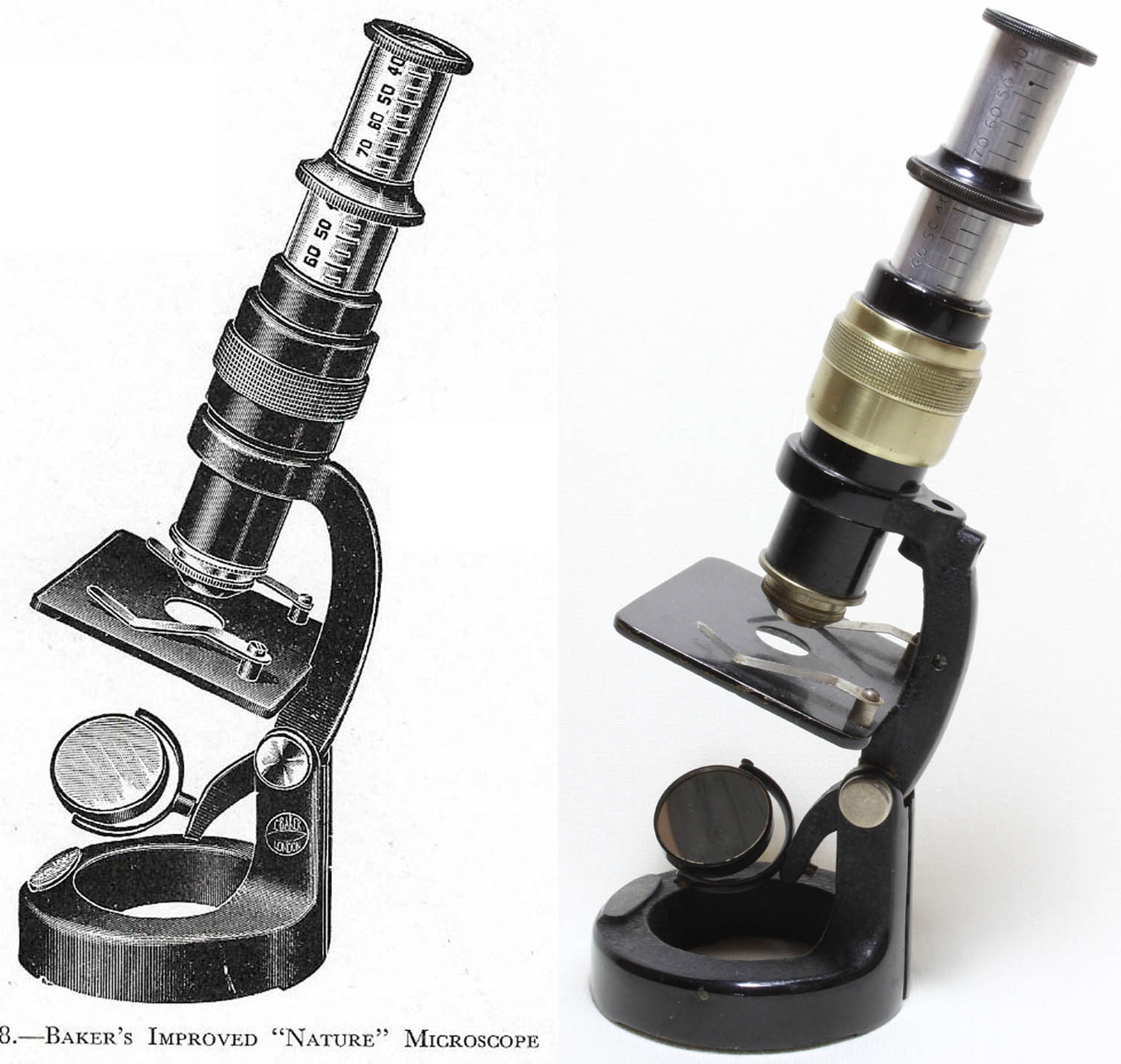  Microscope