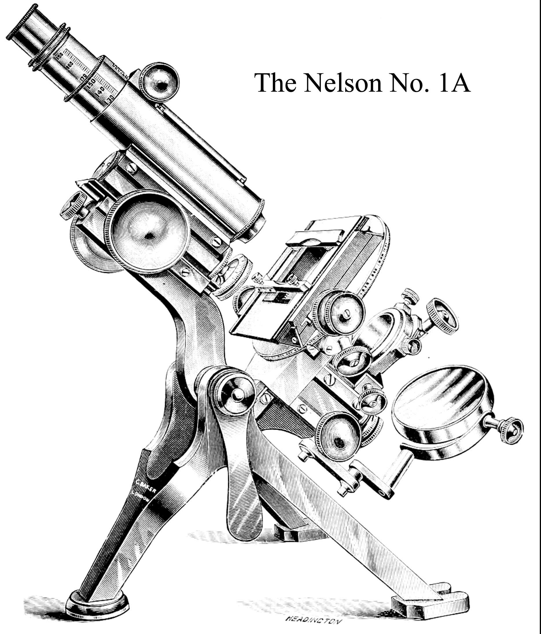 Catalog engraving of Nelson microscope