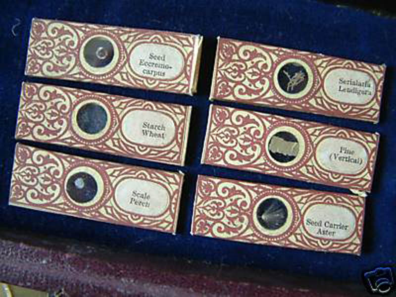 Slides with Newton Microscope and Telescope