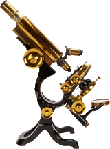 Paragon Microscope