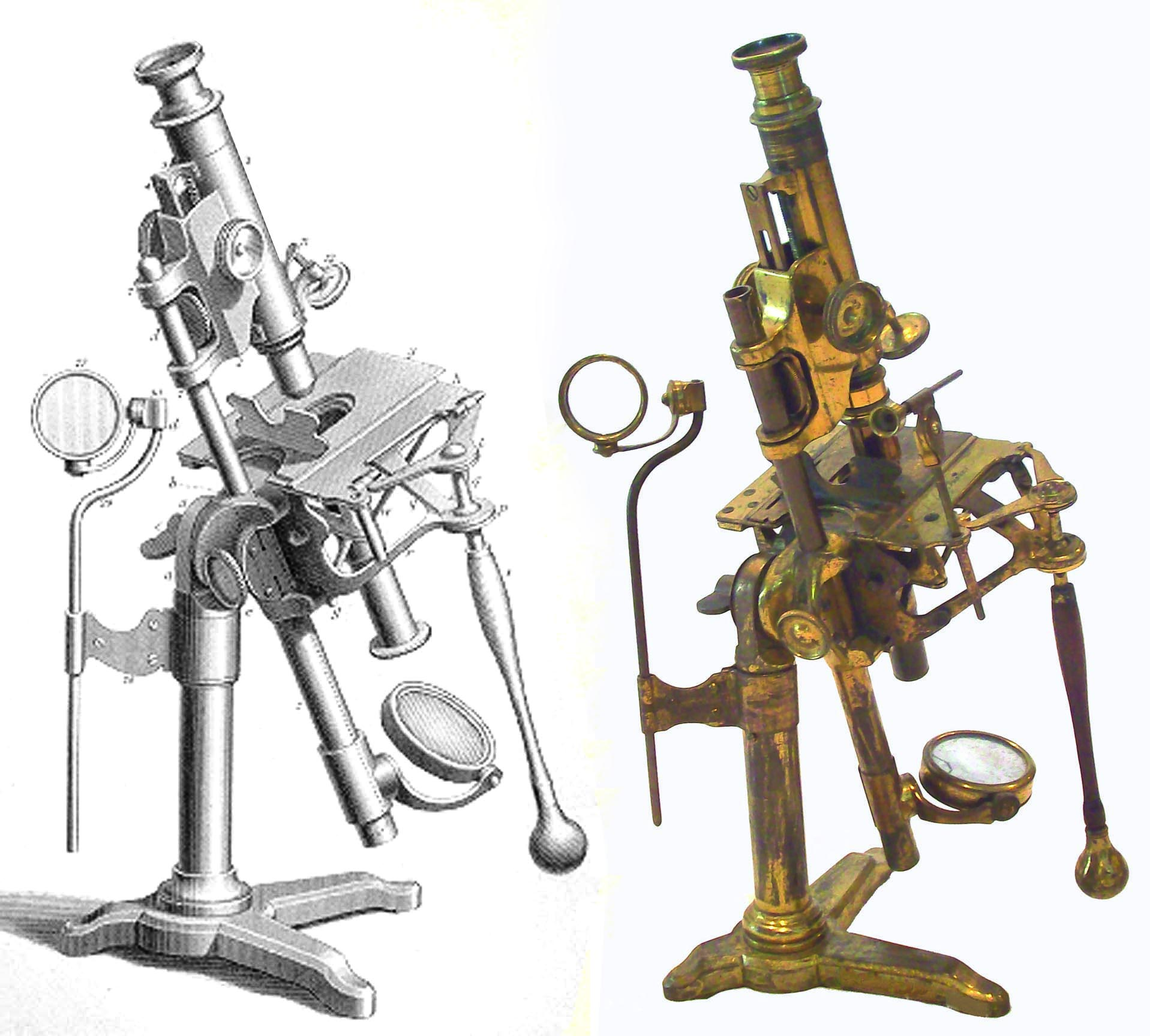 1 прибор типа микроскопа. Корнелиус Дреббель микроскоп. Микроскоп 17 века. Микроскоп 20 века. Изобретение микроскопа Дреббель.