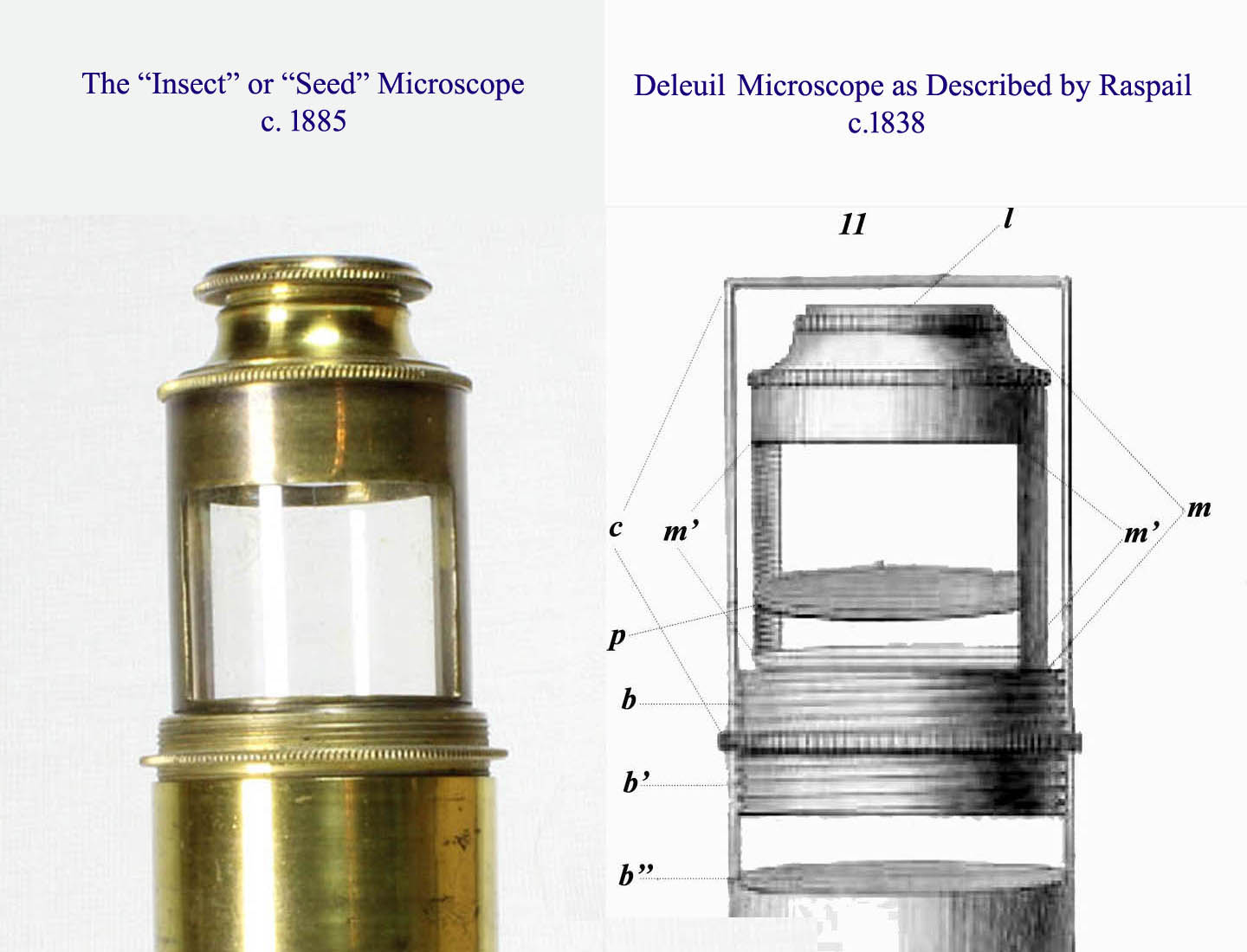 seed microscope and Raspail scope