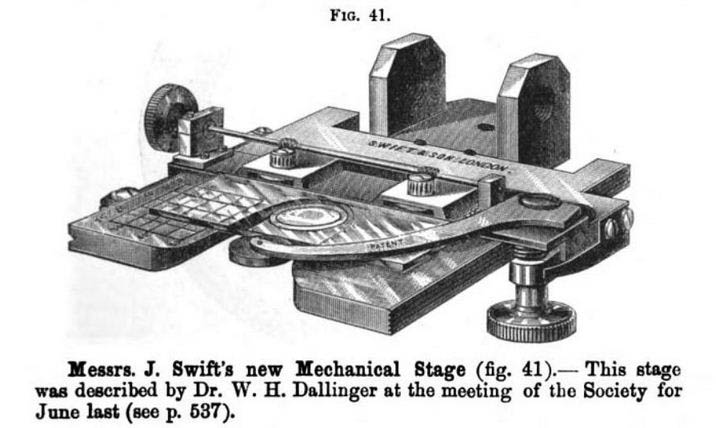 rollerstage
