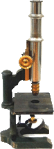 Schieck Trichinoscope