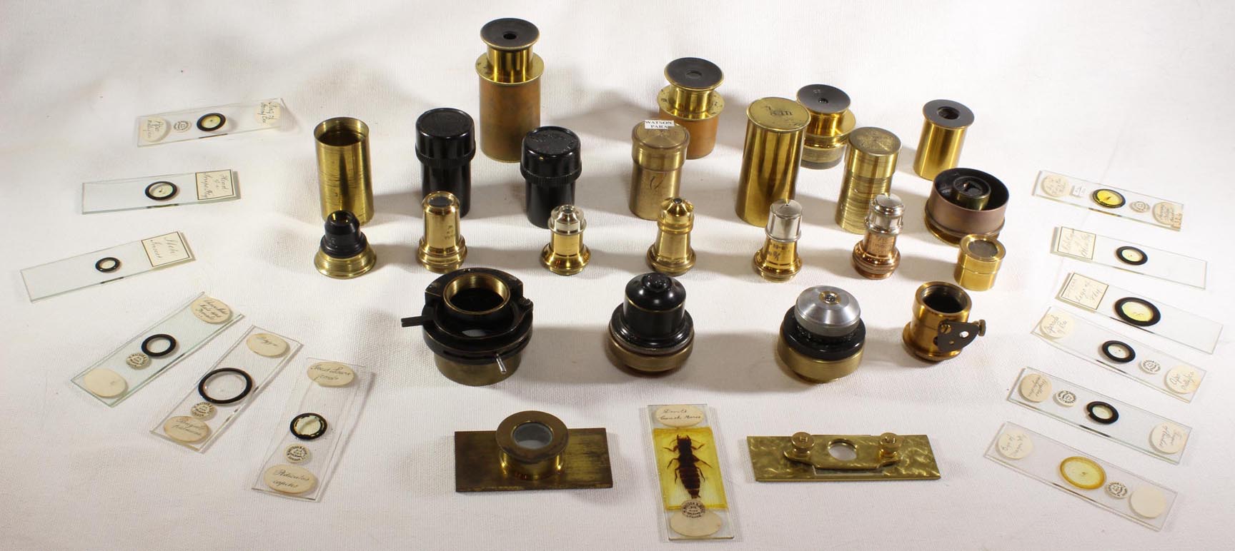 CSVH Microscope