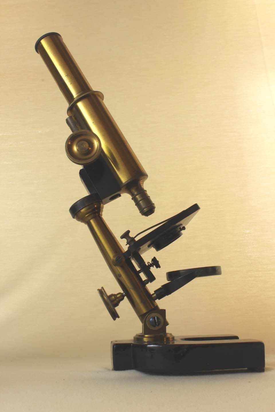 Paul Waechter Microscope IV