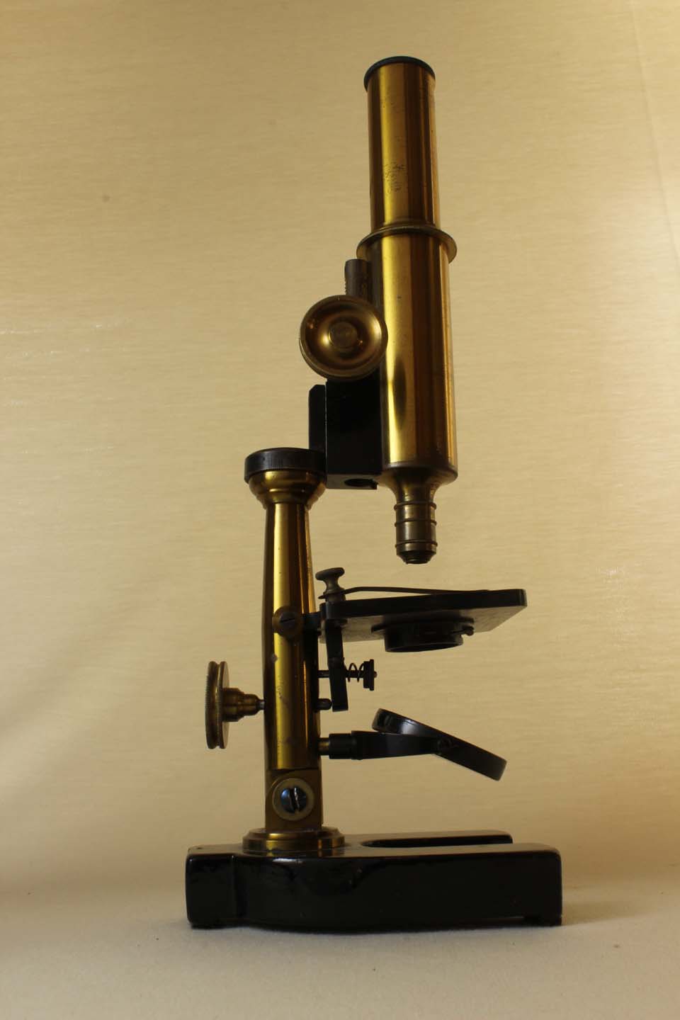 Paul Waechter Microscope IV 2