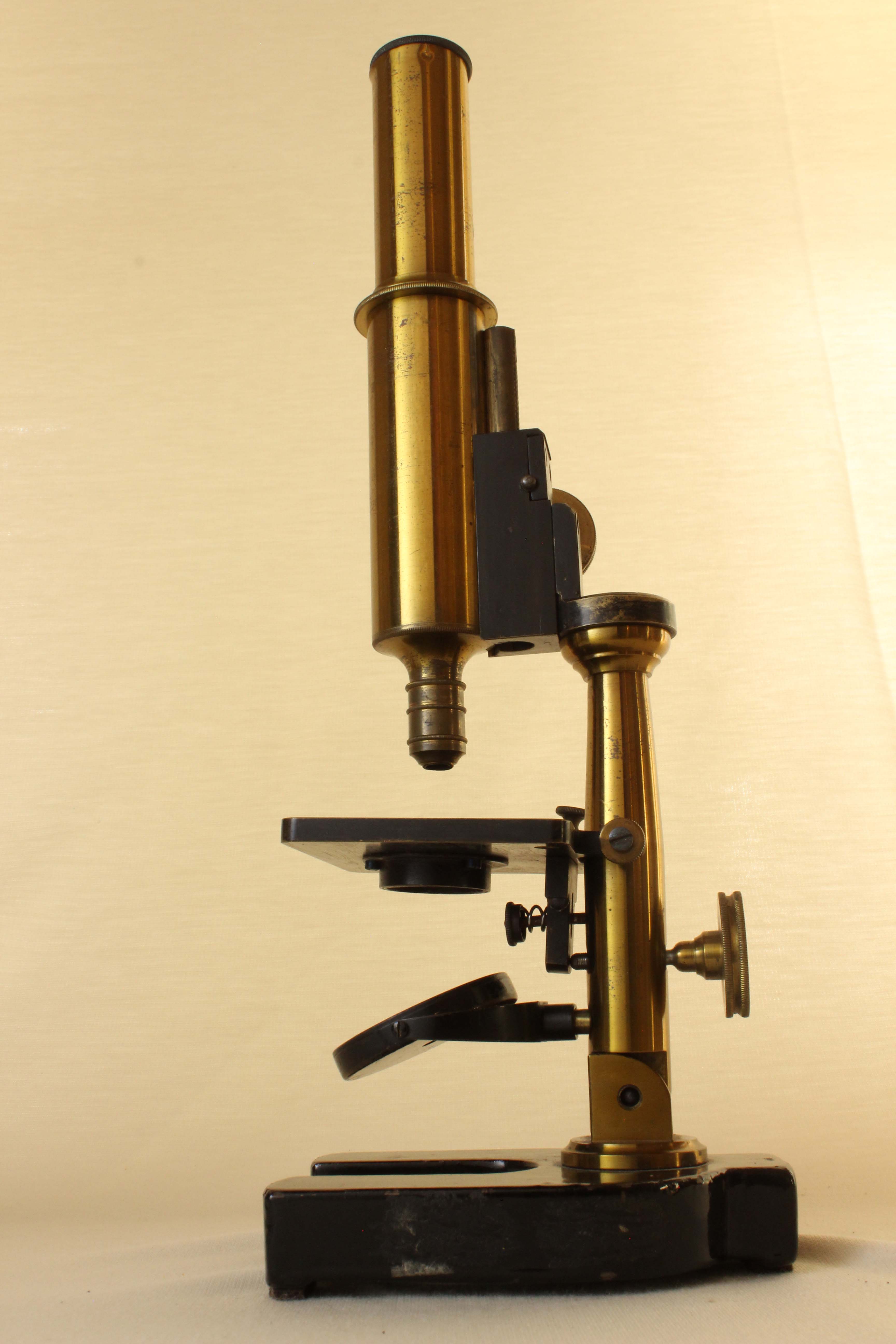 Paul Waechter Microscope IV 3