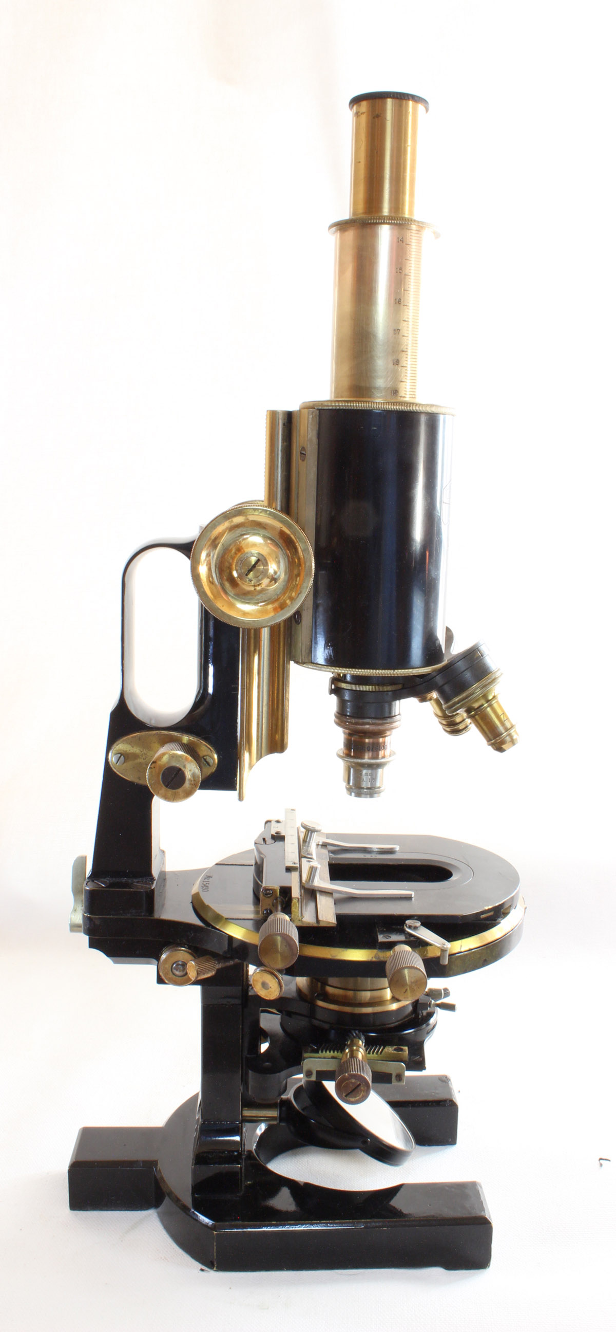 zeiss microscope models