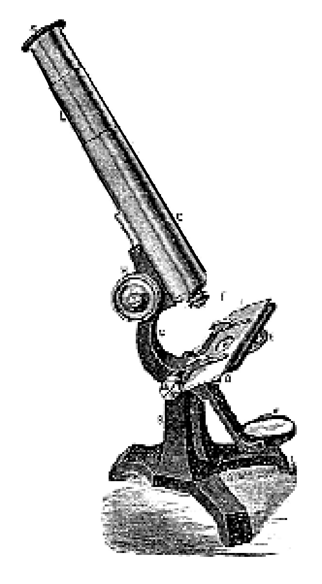 Am Ag microscope
