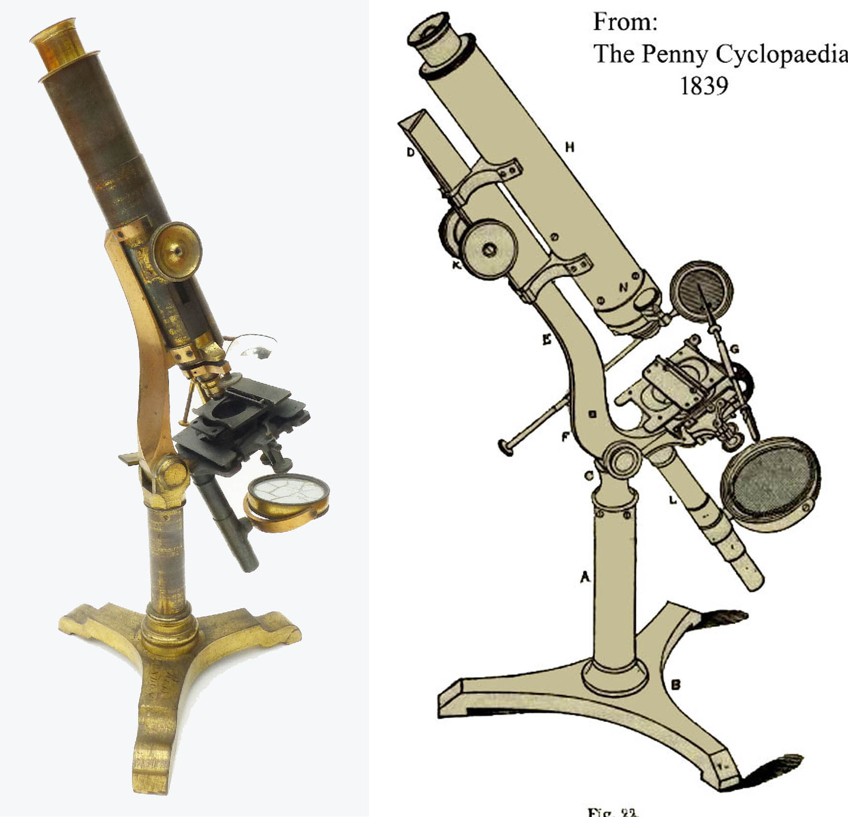 comparison