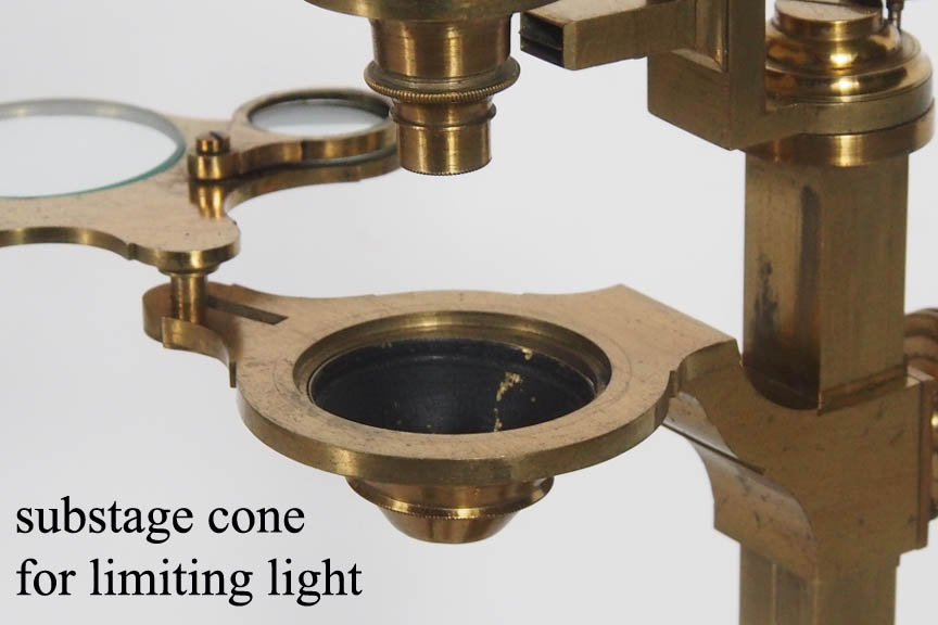 lightcone