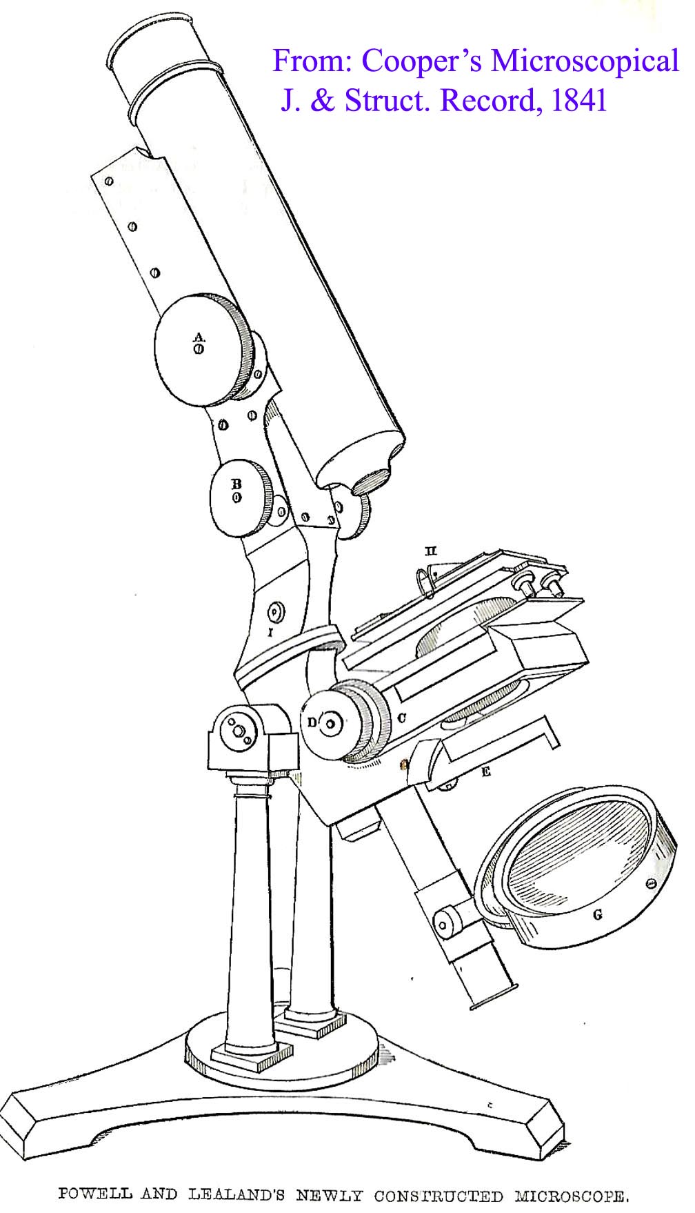 powell microscope