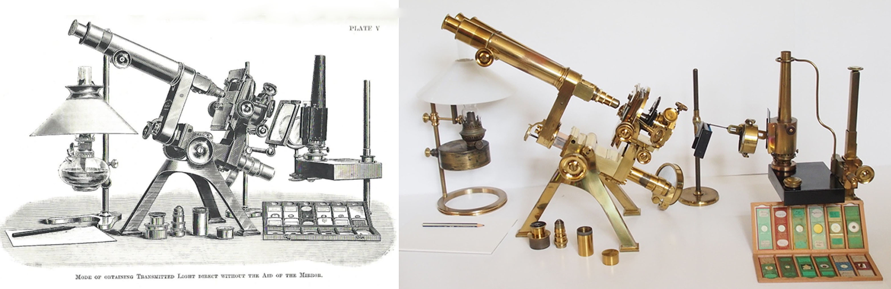 P and L microscope 