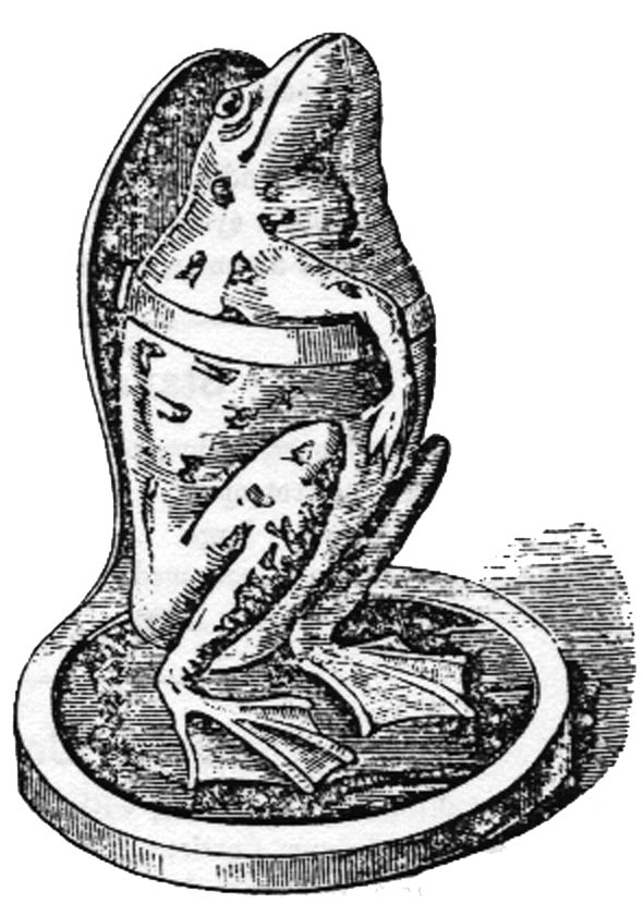 Parkes frog support